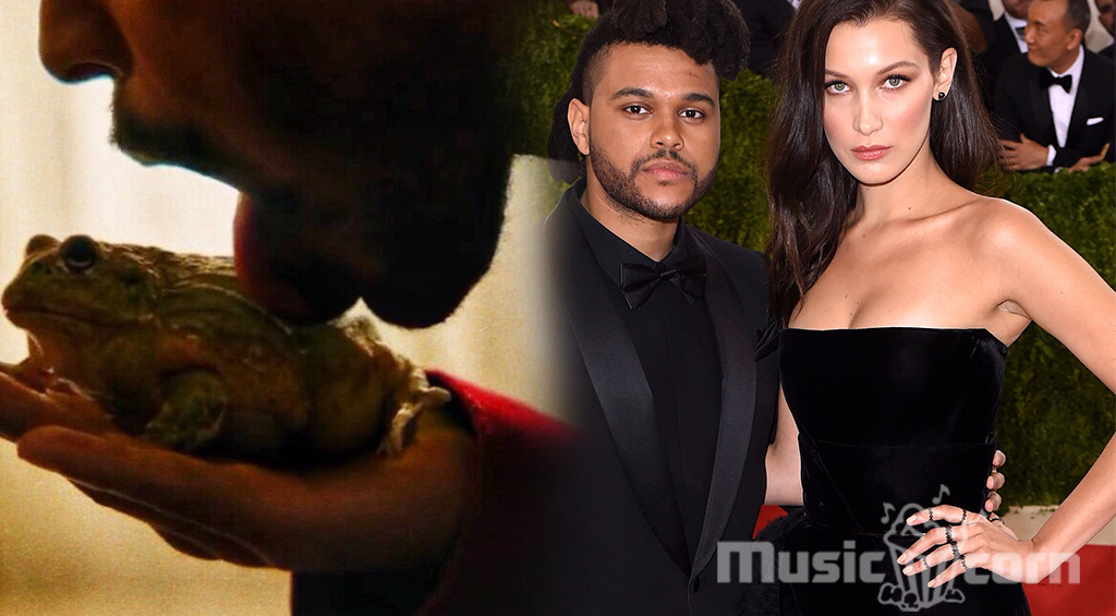 The weeknd's relationship with supermodel Bella Hadid. 
