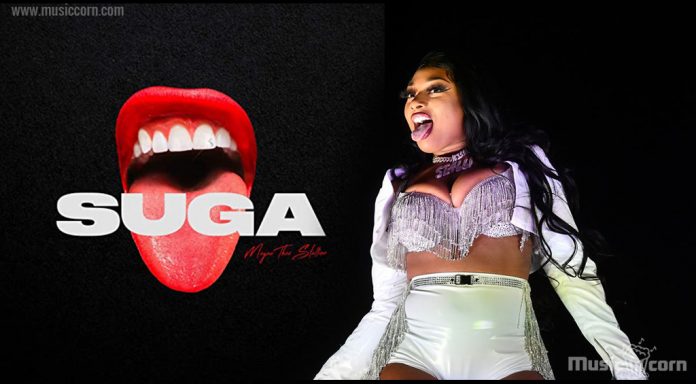 Megan Thee Stallion Album - SUGA