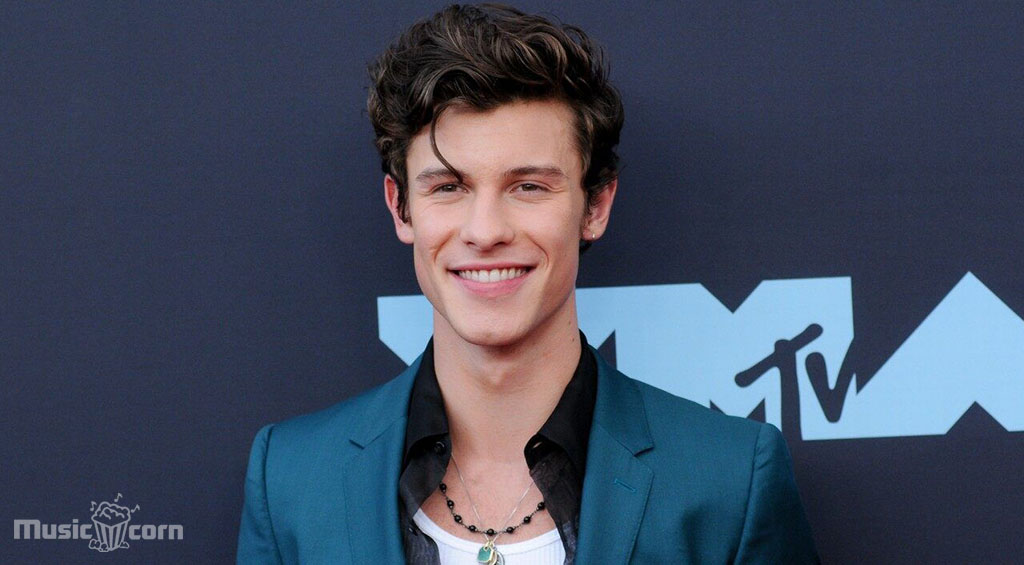 Shawn Mendes Foundation will donate $250,000