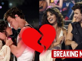 Shawn Mendes breakup with Camila Cabello