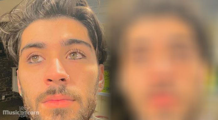 Zayn Malik New Selfie