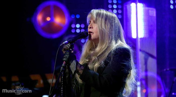 Stevie Nicks Rock and Roll Hall Of Fame