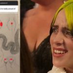 Billie Eilish Lost 100K IG Followers in a day! Why? Billie Eilish Lost 100K IG Followers