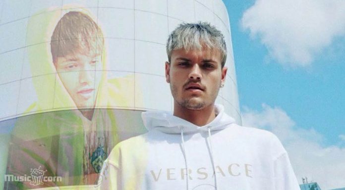 6 Dogs died at age 21 by suicide