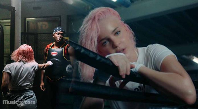 Anne-Marie reveals about Mr Blobby