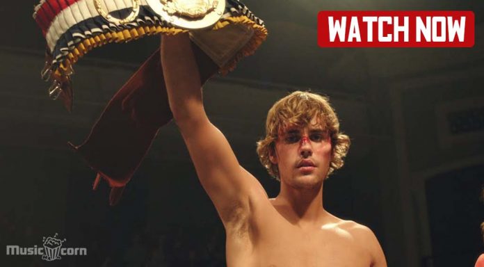 Justin Bieber Anyone