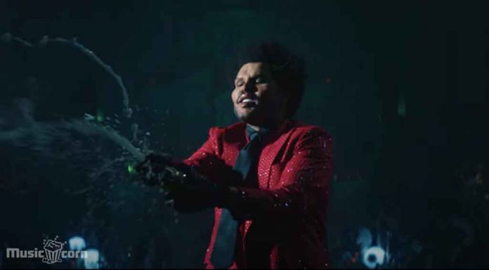 The Weeknd Disses in Save Your Tears