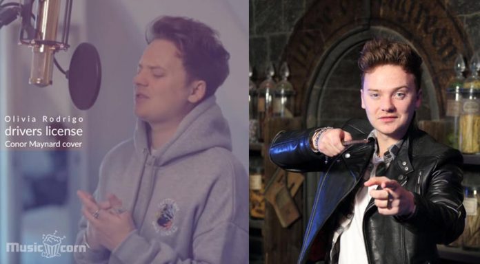 Conor Maynard Smashed drivers license