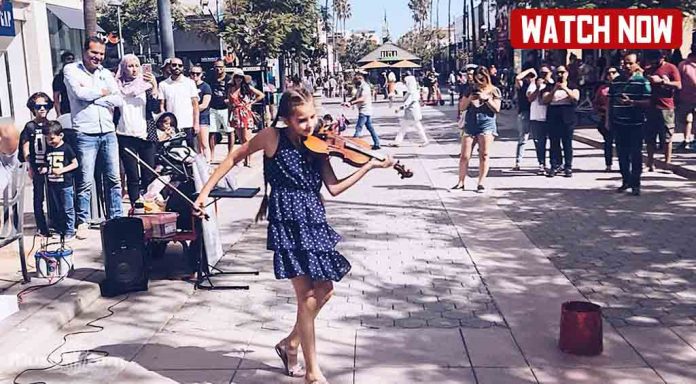 BLACKPINK - KAROLINA PROTSENKO VIOLIN