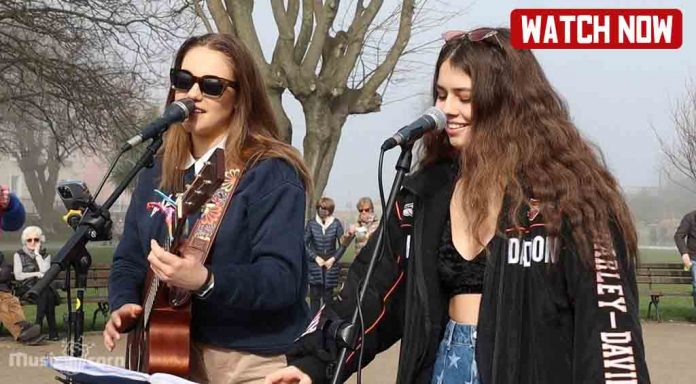 Love Story - Taylor Swift - Allie Sherlock and Saibh Skelly