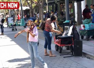 My Way cover- Frank Sinatra – Violin cover by Karolina Protsenko My Way cover- Frank Sinatra - Violin cover by Karolina