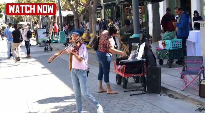 My Way cover- Frank Sinatra - Violin cover by Karolina