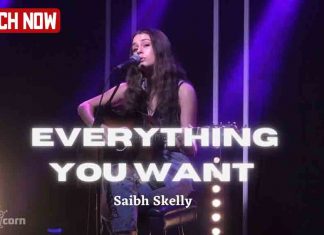 Everything You Want by Saibh Skelly – An original song Everything You Want by Saibh Skelly - An original song