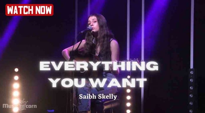 Everything You Want by Saibh Skelly - An original song