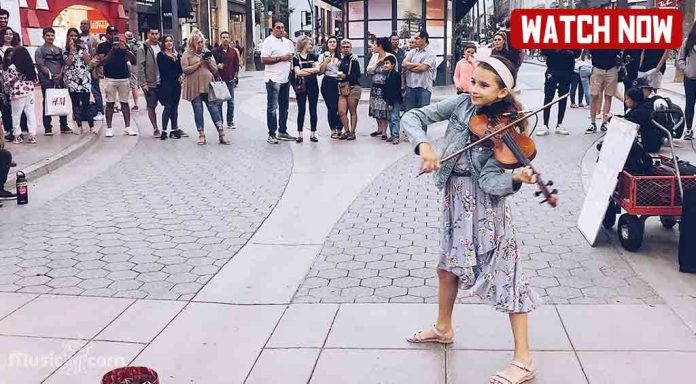 Old Town Road - Lil Nas X ft. Billy Ray - Karolina Protsenko Violin