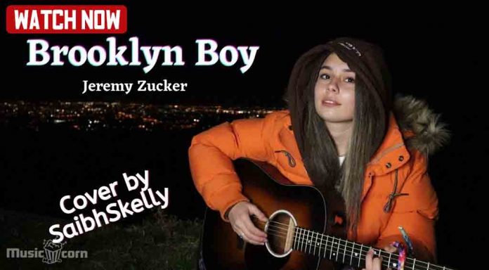 Brooklyn Boy Cover by Saibh Skelly