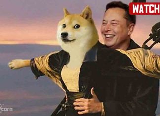 Dogecoin Troll Music Video List:2021 Dogecoin Troll Music Video List 2021