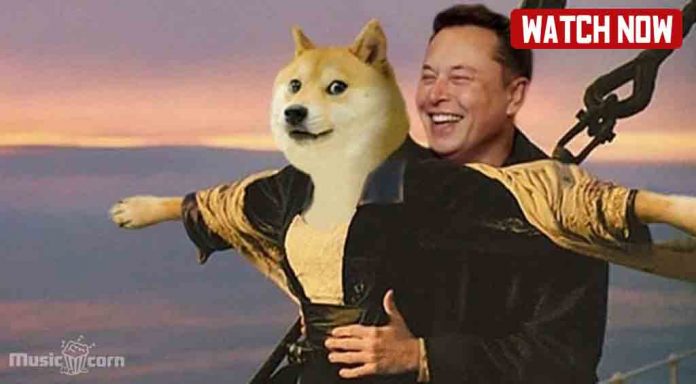 Dogecoin Troll Music Video List 2021 Dogecoin Troll Music Video List 2021