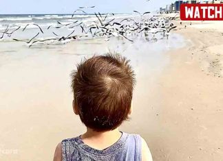Karolina and Brother Leo Catching seagulls at the ocean Karolina and Brother Leo Catching seagulls at the ocean