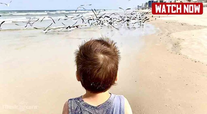 Karolina and Brother Leo Catching seagulls at the ocean
