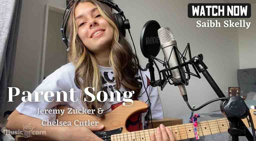Parent Song - Jeremy Zucker and Chelsea Cutler - Saibh Skelly Cover