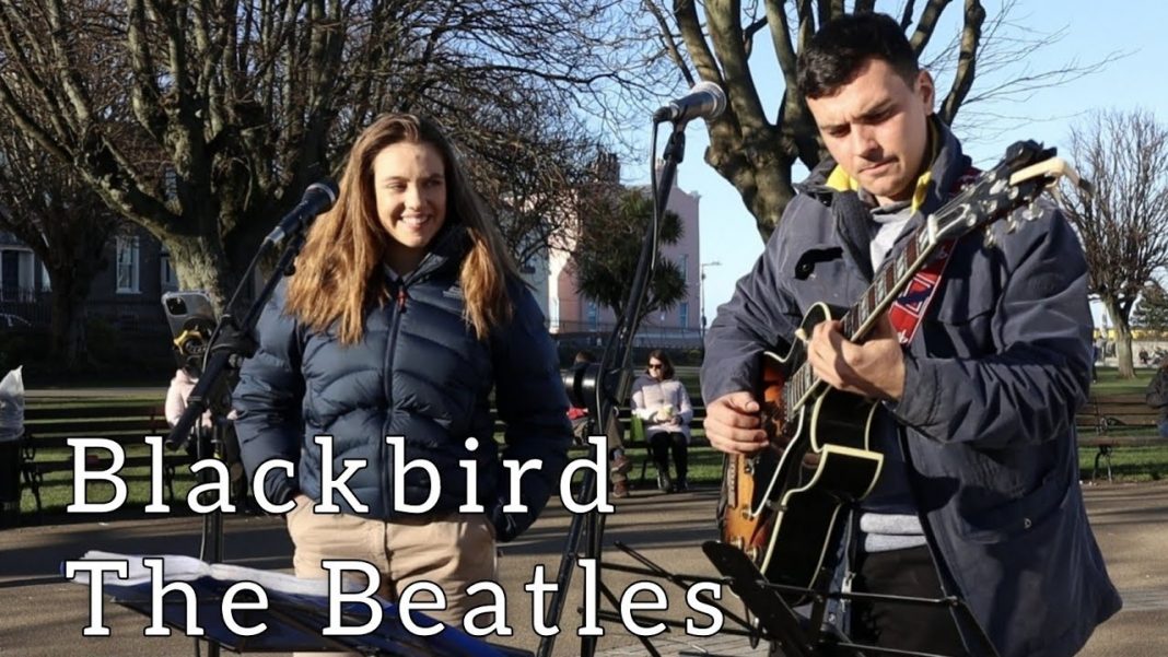 Blackbird cover by Allie Sherlock
