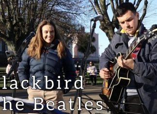 Blackbird – The Beatles – Allie Sherlock Cover – Street Guitarist Joins Blackbird cover by Allie Sherlock