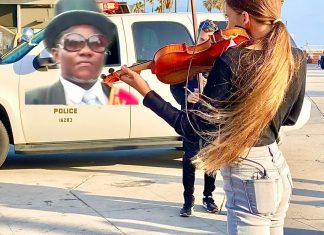 Coffin Dance cover – Karolina Protsenko Violin – The Police Arrived Coffin Dance cover by Karolina Protsenko