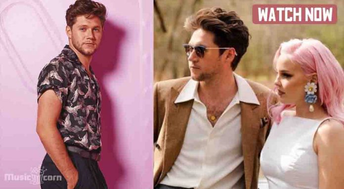 One Direction member Niall Horan and anne marie One Direction member Niall Horan and anne marie