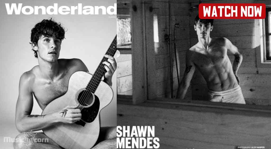 Shawn Mendes Struggles to plan his future on Music