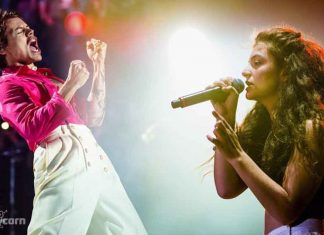 Lorde plans for a collaboration with Harry Styles in the near future Lorde plans for a collaboration with Harry Styles