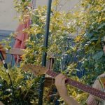 Rooftop performance by Lorde: Latest song ‘Stoned At The Nail Salon’ Rooftop performance by Lorde