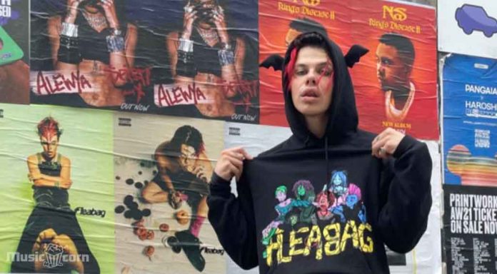 Yungblud drops a kick back song 'Fleabag'