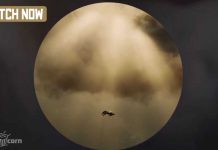 Want to see Kanye West fly: Check out his latest MV for the track ’24’ Kanye West fly Check latest MV for the track 24