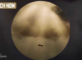 Want to see Kanye West fly: Check out his latest MV for the track ’24’ Kanye West fly Check latest MV for the track 24