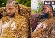 Big Sean’s body gets covered by thousands of bees: ‘What A Life’ Big Sean - What a life