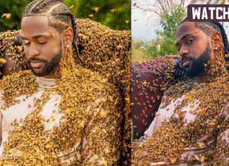 Big Sean’s body gets covered by thousands of bees: ‘What A Life’ Big Sean - What a life