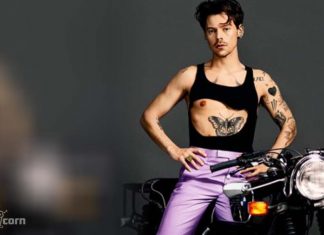 Beauty Products by Harry Styles: New brand launching – Pleasing Beauty Products by Harry Styles