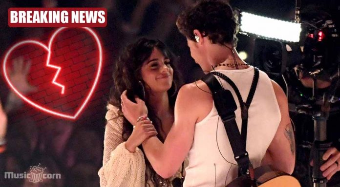 relationship ends - Camila Cabello & Shawn Mendes