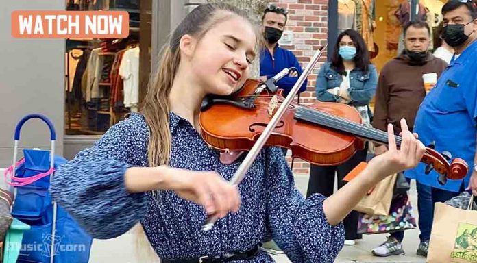 Eye Of The Tiger - Violin Cover