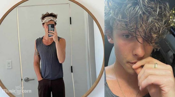 New music from Shawn Mendes