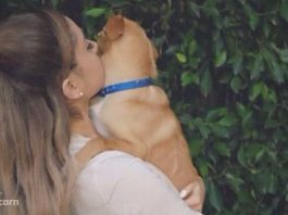 Ariana Grande loves animals