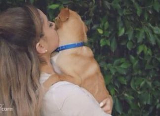 Ariana Grande loves animals: Which animal does she loves the most? Ariana Grande loves animals