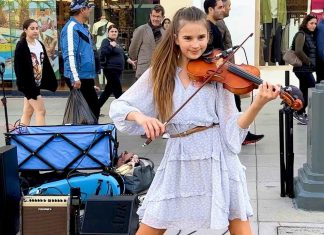 Srivalli Violin Cover – by karolina Protsenko – Telugu movie song Srivalli Violin Cover - by karolina Protsenko