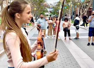 Just Give Me A Reason – Karolina Protsenko Violin – Pink Just Give Me A Reason - Karolina Protsenko