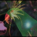 Calvin Haris releases new single ‘New Money’ featuring 21 Savage Calvin Haris releases new single