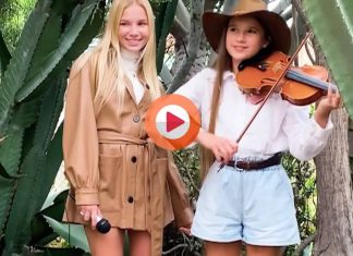 Cactus version by Barvina & Karolina Protsenko Violin – Señorita Cactus version by Barvina & Karolina Protsenko