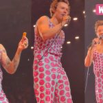 Fans Threw Chicken Nuggets at Harry Styles: Watch Footage Fans Threw Chicken Nuggets at Harry Styles