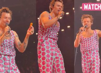 Fans Threw Chicken Nuggets at Harry Styles: Watch Footage Fans Threw Chicken Nuggets at Harry Styles