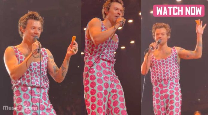 Fans Threw Chicken Nuggets at Harry Styles